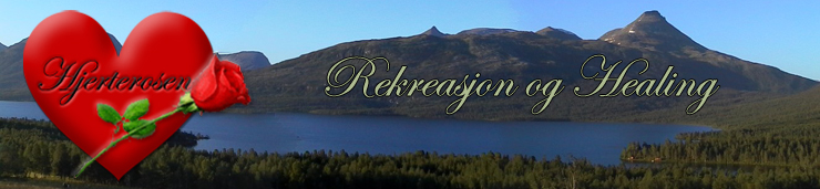 Hjerterosen
